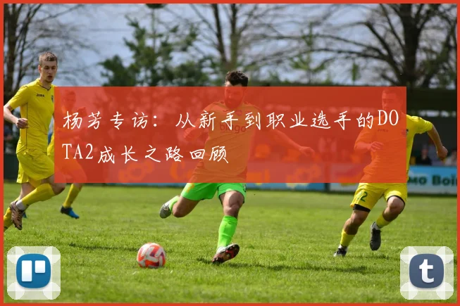 杨芳专访：从新手到职业选手的DOTA2成长之路回顾